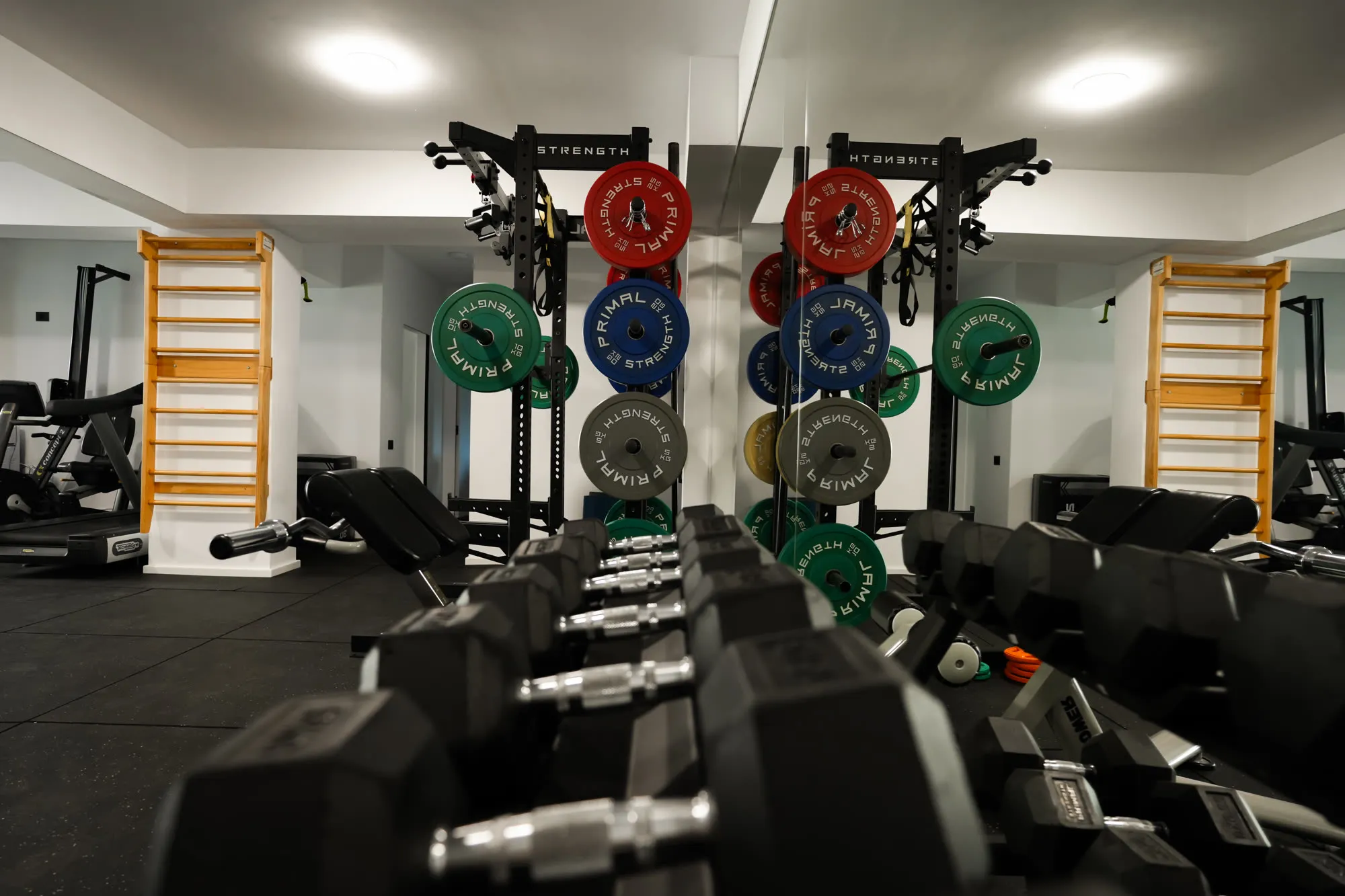 Spalierele și zona de lucru din sala FitSpace, cu discuri și gantere